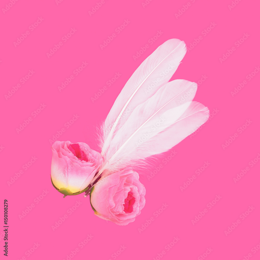 Feathers and Rosa Minimal art Surreal Delicately care