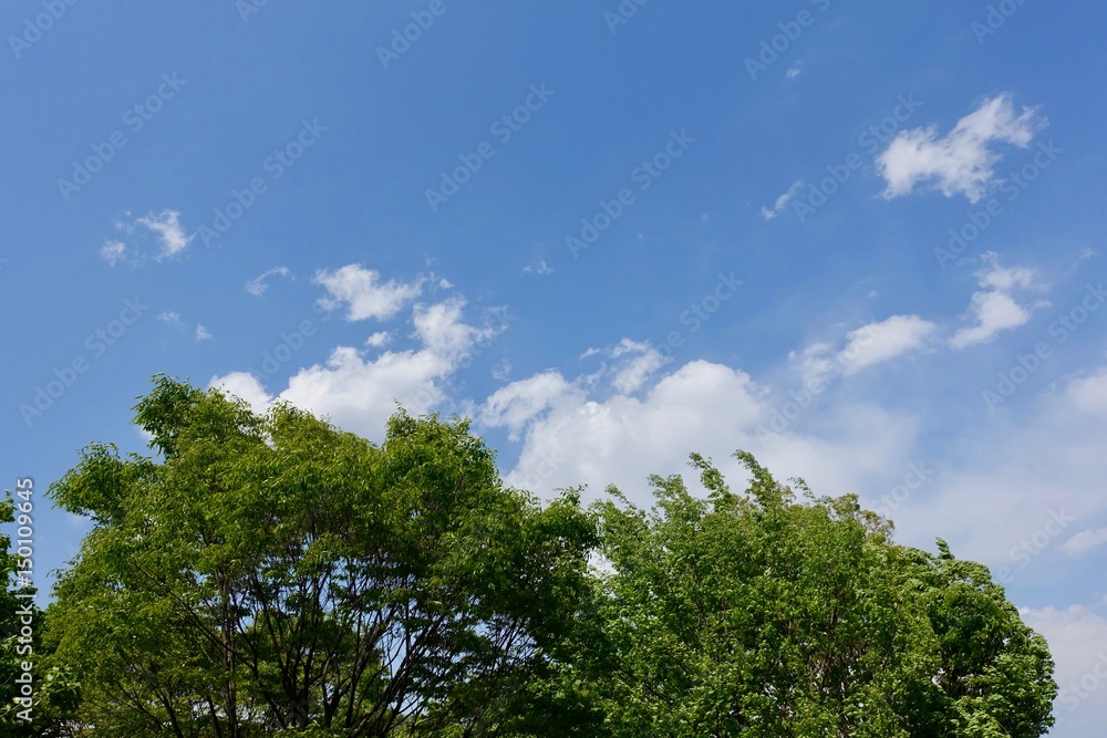青空 青空
