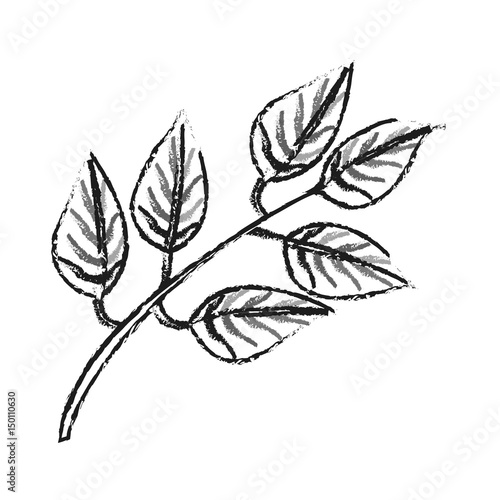 blurred silhouette image side view branch with ramifications and leaves vector illustration © Jemastock