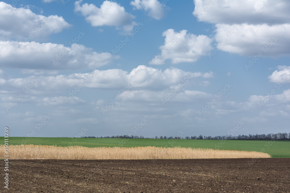 black plowed field in spring clouds in blue sky black plowed field in spring clouds in blue sky