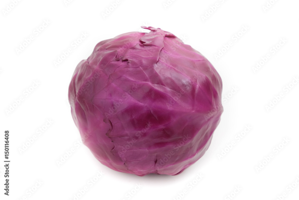 Purple cabbage on white background Purple cabbage on white background