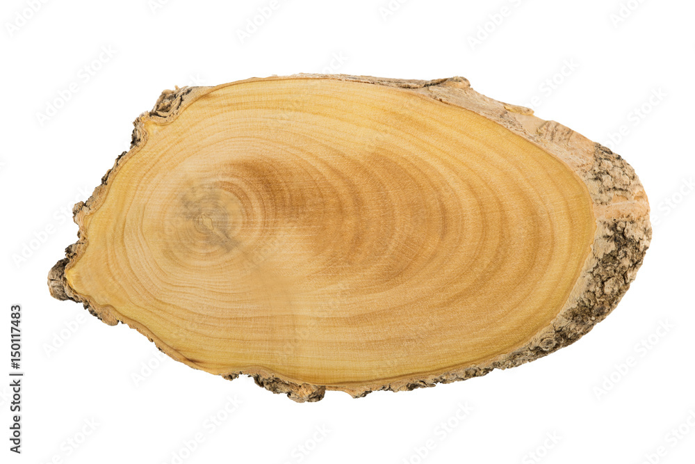 Top view of a tree stump Top view of a tree stump