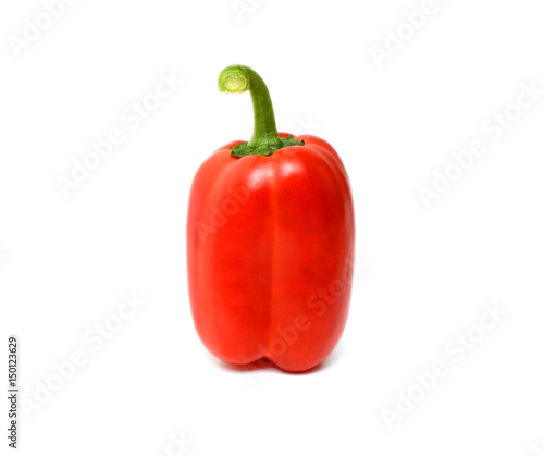 Single red bell pepper or capsicum isolated on white background