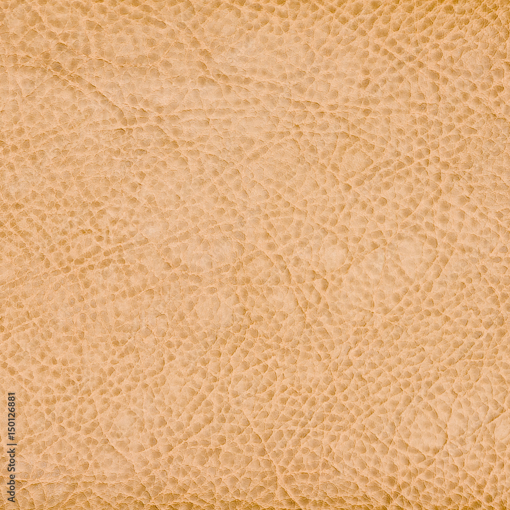 Fototapeta premium close up of abstract leather texture as background
