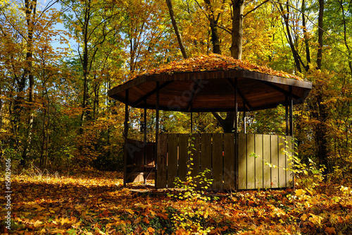 Rastplatz H  tte im herbstlichen Wald  Rheinland-Pfalz  Deutschland  Europa