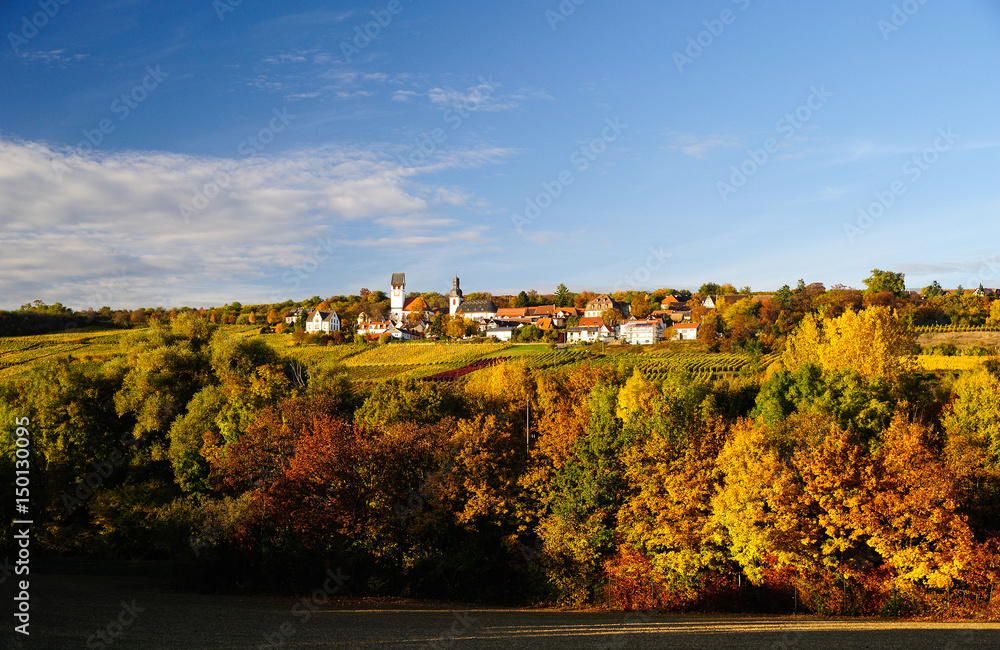 Gemeinde Zell in herbstlicher Laubfärbung, Zellertal, Rheinland-Pfalz, Deutschland, Europa,