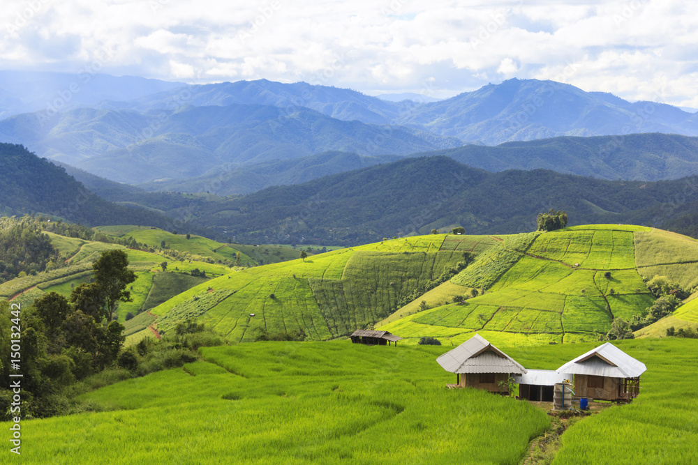 Green rice terrace field and cloudy sky in rainy season.