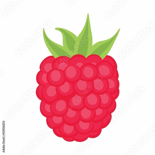 Canvas Print raspberry on the white background