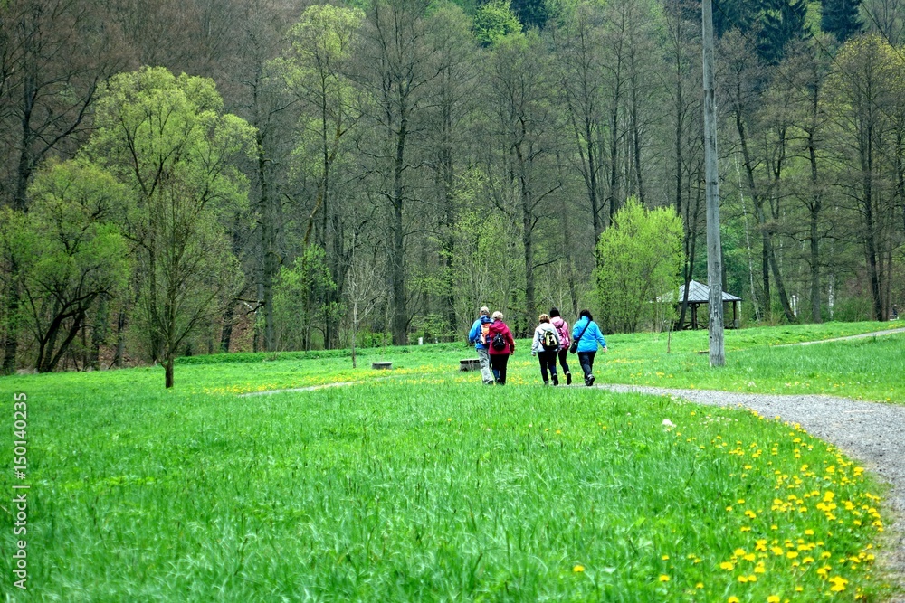 Fototapeta premium wanderweg im erzgebirge