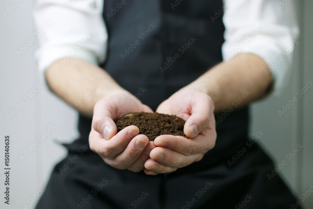 man hand holding sprout in palms man hand holding sprout in palms