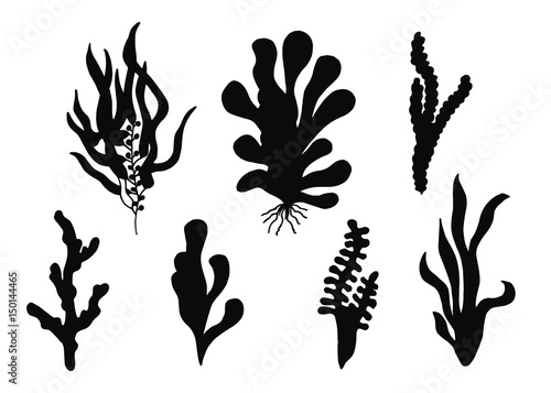 Alga silhouette
