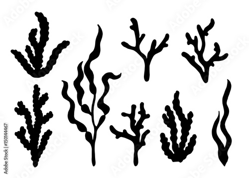 Alga silhouette vector set