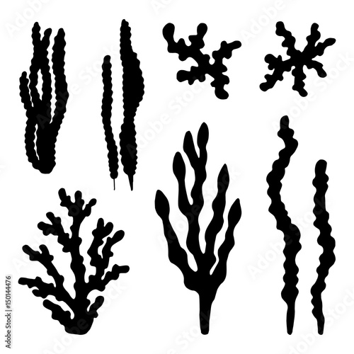 Alga vector silhouette