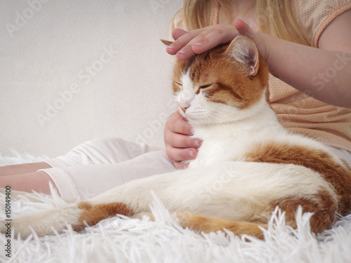 The hand of a child stroking a cat happy