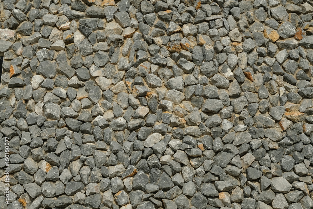Sediment rock with fossilized seashells on the beach closeup Sediment rock with fossilized seashells on the beach closeup