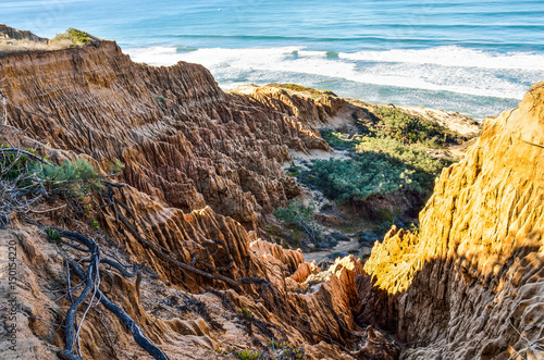 Фотография Closeup pattern of torrey pine eroded sandstone cliffs on coast in La Jolla by S