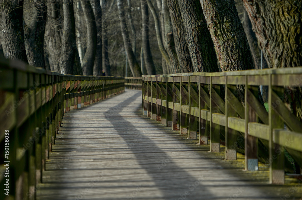 Der Weg ist das Ziel - Holzbrücke durch Baumallee