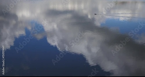 Lac des Tailleres - lake-close flight over lake with duck and clouds reflection - La Brevine