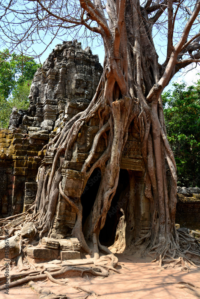 Cambodia Angkor Ta Som