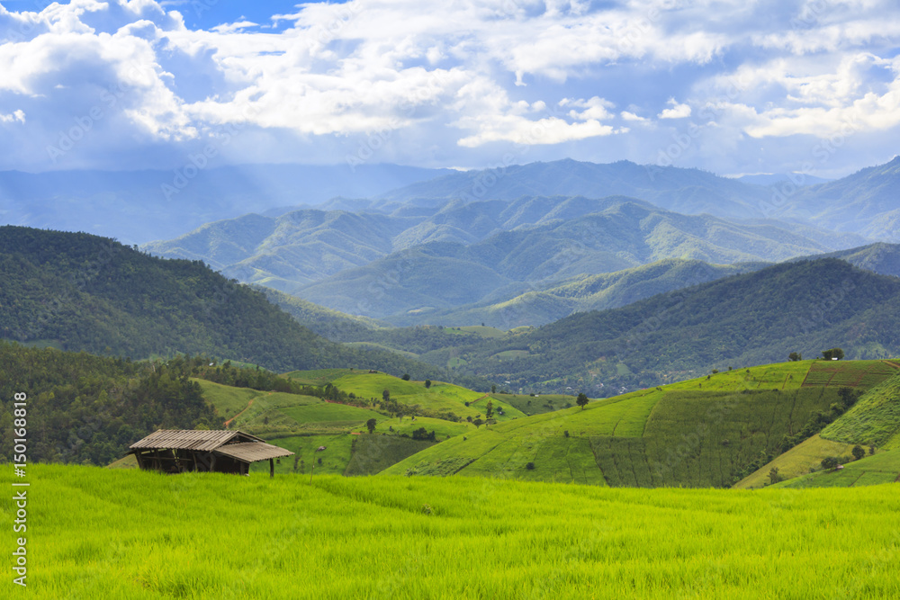 Fresh green rice terrace field and cloudy sky in rainy season, at Baan Pa Bong Pieng, northern of Chiang Mai, Thailand.