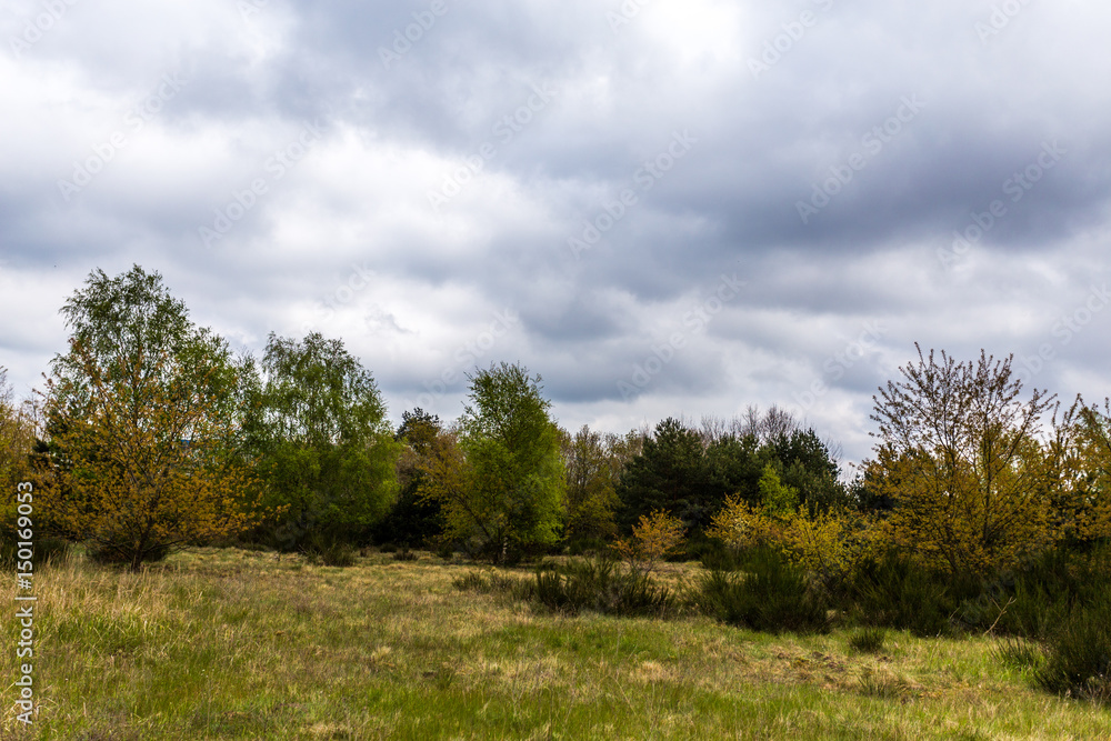 Mecklenburg-vorpommern