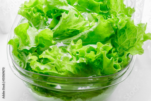 Fresh lettuce leaves soaked in transparent plastic bowl