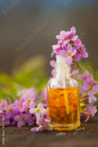 Essential oil of Arabis flower on a table in beautiful bottle