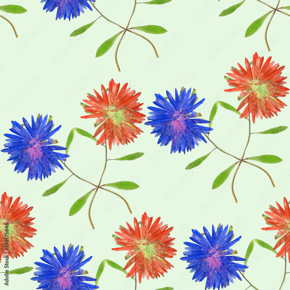 Aster. Seamless pattern texture of flowers. Floral background, photo collage