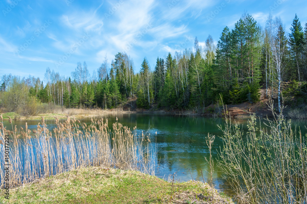 Fototapeta premium Small forest lake in Sunny day.