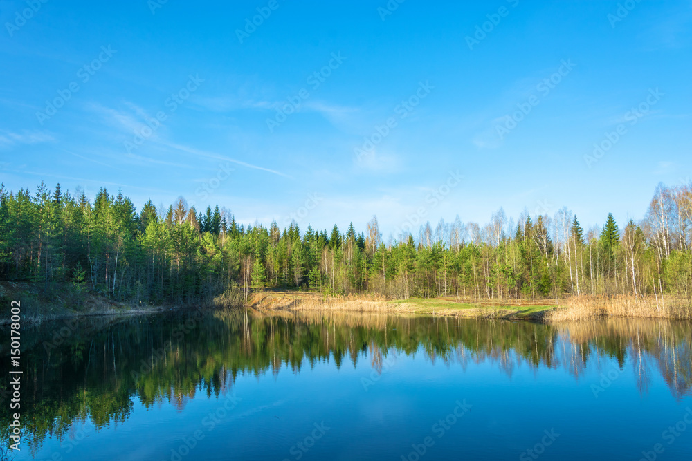 Small forest lake in Sunny day.
