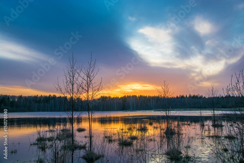 Sunset at the small forest lake.