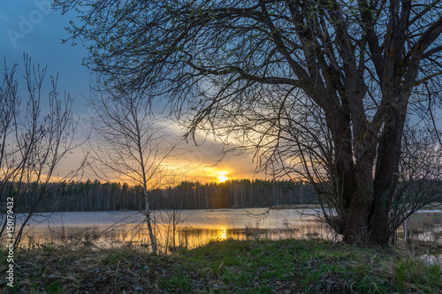 Sunset at the small forest lake.