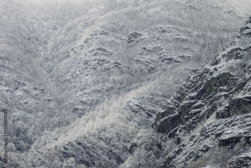 Naklejka premium Snowy mountain slopes