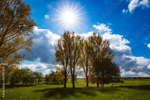 Sonnige Felder an den Rheinwiesen