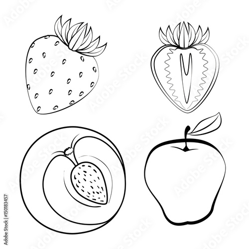 Fototapeta Naklejka Na Ścianę i Meble -  fresh and healthy fruits vector illustration design