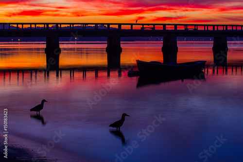 Amanhecer na Ilha do Governador photo