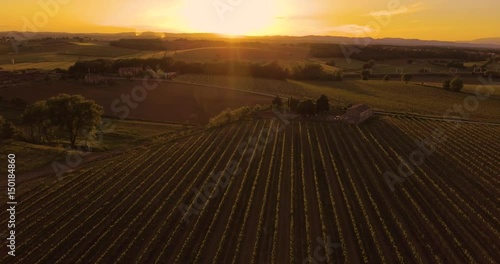 Aerial footage, gorgeous vineyards on sunset in Tuscany, Italy, 4K
