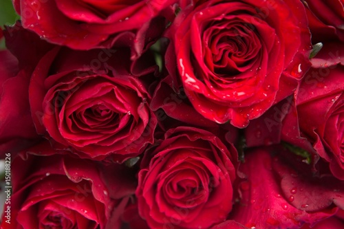 Bunch of red roses