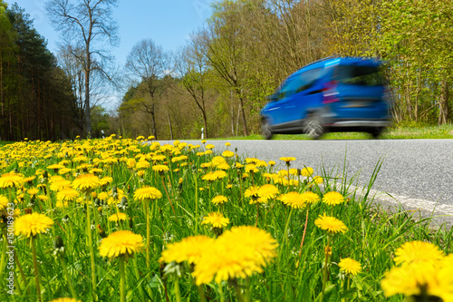Φωτογραφία Auto schnell fahrend Strasse Löwenzahn Verkehr Familienausflug, Natur, Grüne Str