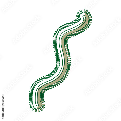 Bacterial cell structure icon vector illustration design
