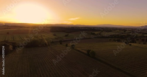 Wallpaper Mural Aerial footage, gorgeous vineyards on sunset in Tuscany, Italy, 4K Torontodigital.ca