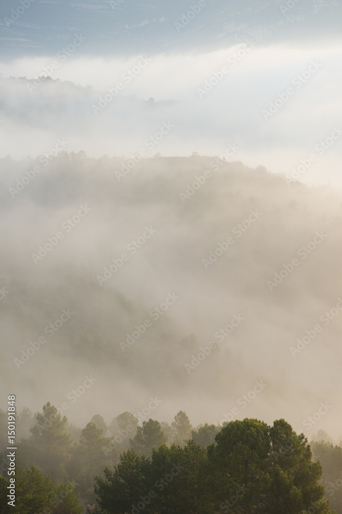 Sunrise misty landscape of forests at Coll de Serra Seca in the Catalan Pré-Pyrenees.