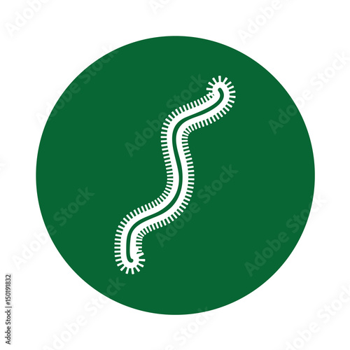 Bacterial cell structure icon vector illustration design