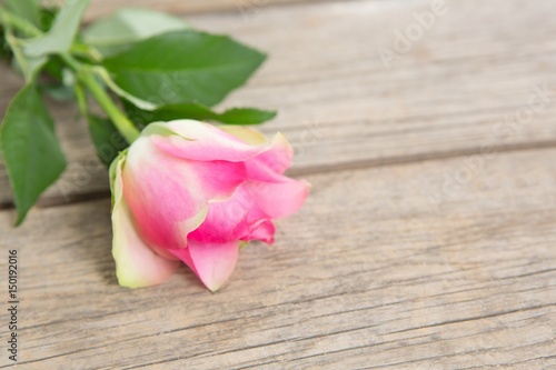 Fototapeta Naklejka Na Ścianę i Meble -  Pink rose on wooden background