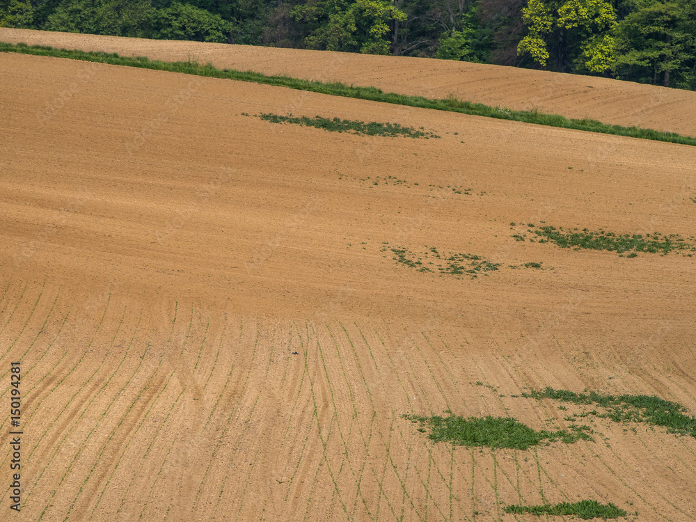 Obraz premium Ackerbau