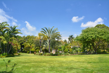 Botanical garden in Miami