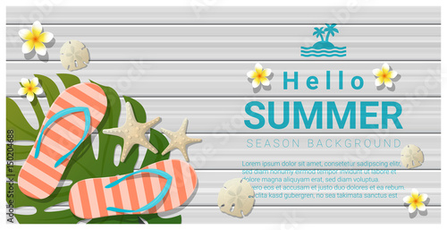 Hello summer background with sea elements on wooden board , vector , illustration