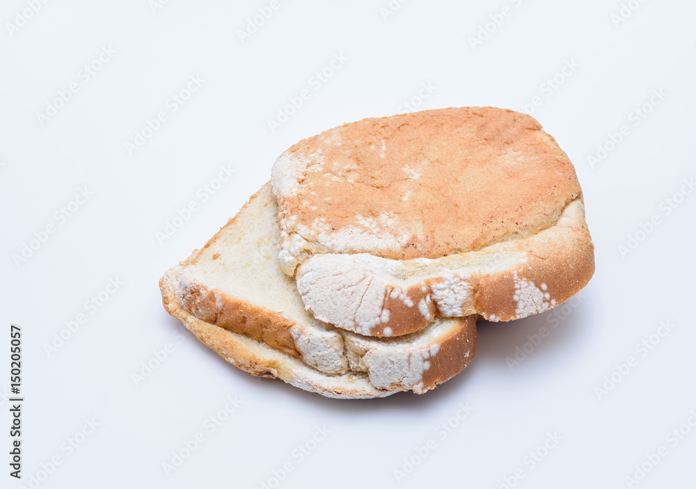 Slices of bread with white mold Slices of bread with white mold