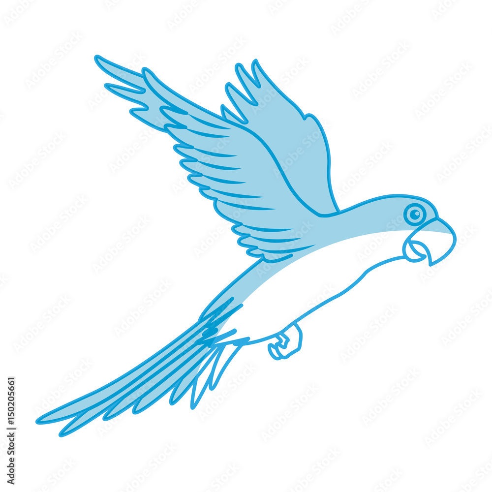 exotic parrot isolated icon vector illustration design exotic parrot isolated icon vector illustration design