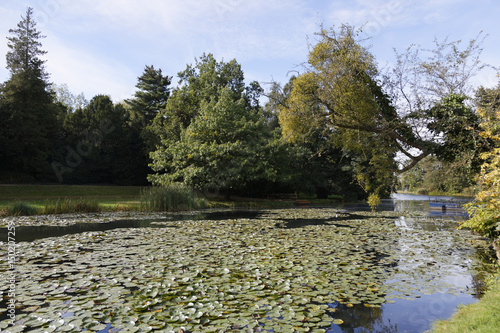 Wörlitz photo